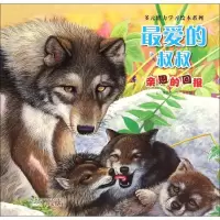 音像的叔叔翅葫芦 文;张镇荣 图