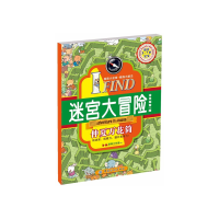 音像I FN·迷宫大冒险·仲夏万花筒B.M动漫工作室 编著