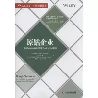 音像原钻企业