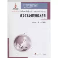 音像藏文信息处理的原理与应用高定国,珠杰 编著