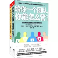 音像给你一个团队,你能怎么管?(2册)赵伟