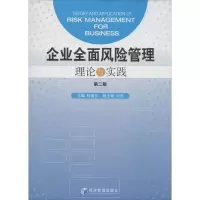 音像企业全面风险管理杜莹芬 主编