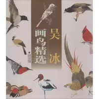 音像吴冰画鸟精选吴冰 绘