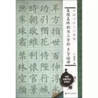 音像集颜真卿楷书三字经 多宝塔碑施志伟 编