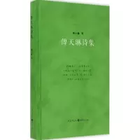 音像傅天琳诗集傅天琳 著