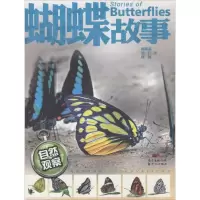音像蝴蝶故事陈锡昌,刘广,杨骏 著