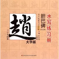音像历代名家书法字帖水写练习册苏亚涛,王维华 编