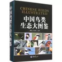 音像中国鸟类生态大图鉴郭冬生,张正旺 主编