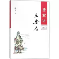 音像康震讲王安石康震 著