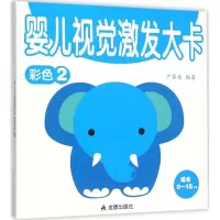 音像婴儿视觉激发大卡严翠美 编著