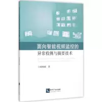 音像面向智能视频监控的异常检测与摘要技术祝晓斌 著