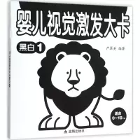 音像婴儿视觉激发大卡严翠美 编著