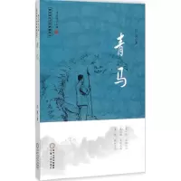 音像青马泾河 著;杨宏峰 丛书主编