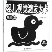 音像婴儿视觉激发大卡严翠美 编著