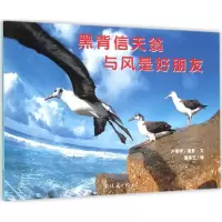 音像黑背信天翁与风是好朋友户冢学 摄影·文;蒲蒲兰 译