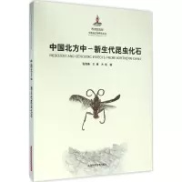 音像中国北方中-新生代昆虫化石张海春,王博,方艳 著