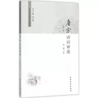 音像唐宋诗词审美张毅 著