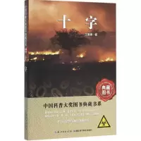 音像十字王晋康 著