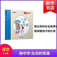 音像生命的奇遇
