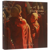 音像一叶菩提老潘 著