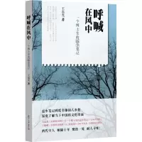 音像呼喊在风中王磊光 著