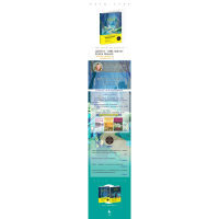 音像为爱而行(美)克莉丝汀·汉娜(Kristin Hannah) 著;织羽 译