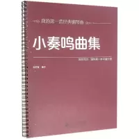 音像小奏鸣曲集刘竹君 编注