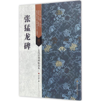 音像张猛龙碑刘天琪 主编