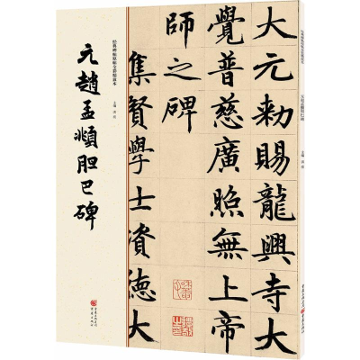 音像元赵孟頫胆巴碑洪亮 主编