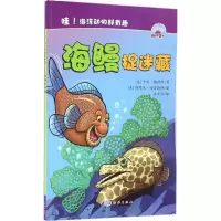 音像海鳗捉迷藏(美)卡丽·梅斯特(Cari Meister) 著;王小可 译