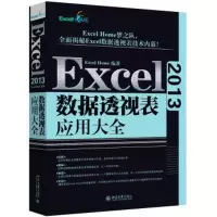 音像Excel 2013数据透视表应用大全Excel Home