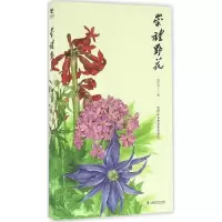 音像崇礼野花刘华杰 著
