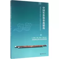 音像中国竹笛协奏曲精选王建民 主编