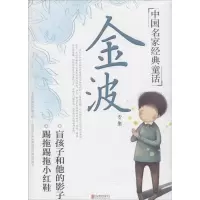 音像金波专集金波 著