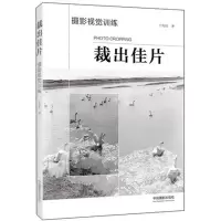 音像裁出佳片丁允衍 著