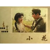 音像小花刘澍,丁雪