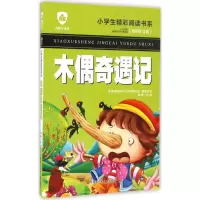 音像木偶奇遇记龚勋 主编
