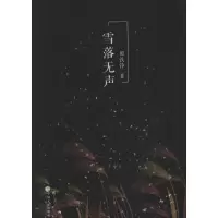 音像雪落无声田铁铮 著