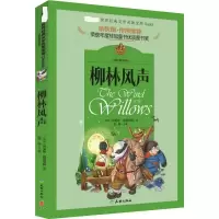 音像柳林风声禹南 主编
