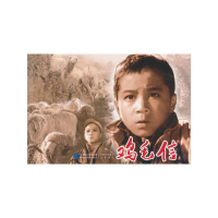 音像鸡毛信赵刚 主编