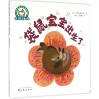 音像袋鼠宝宝出生了(日)花之内雅吉 著画;彭懿,周龙梅 译