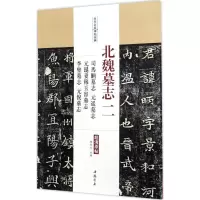音像北魏墓志陈钝之 主编