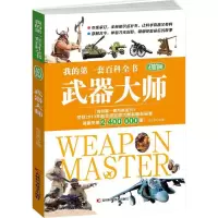 音像武器大师刘少宸 主编