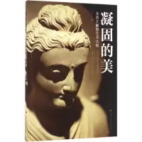 音像凝固的美丁方 著