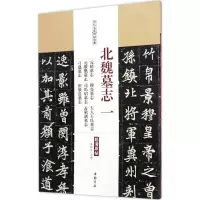 音像北魏墓志陈钝之 主编