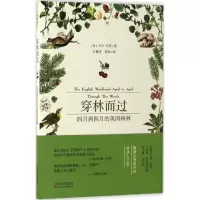 音像穿林而过(英)H.E.贝茨(H.E.Bates) 著;石梅芳,郑雨 译