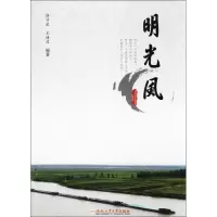 音像明光风傅守乾,王绪波 编著
