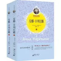 音像安娜·卡列尼娜(俄罗斯)列夫·托尔斯泰 著;吕晓姣 译