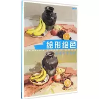 音像形绘王磊 著