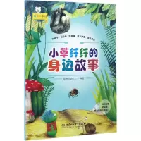 音像小草纤纤的身边故事聪明谷益智工厂 编著